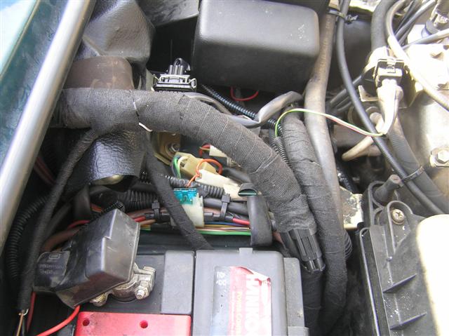 P2040010 (Small).JPG