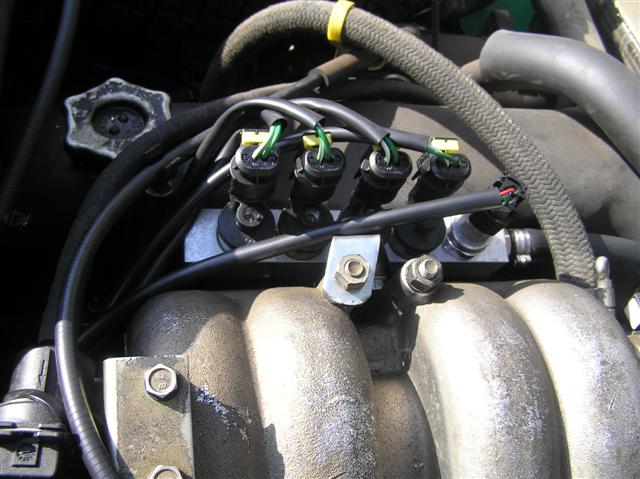P2040011 (Small).JPG