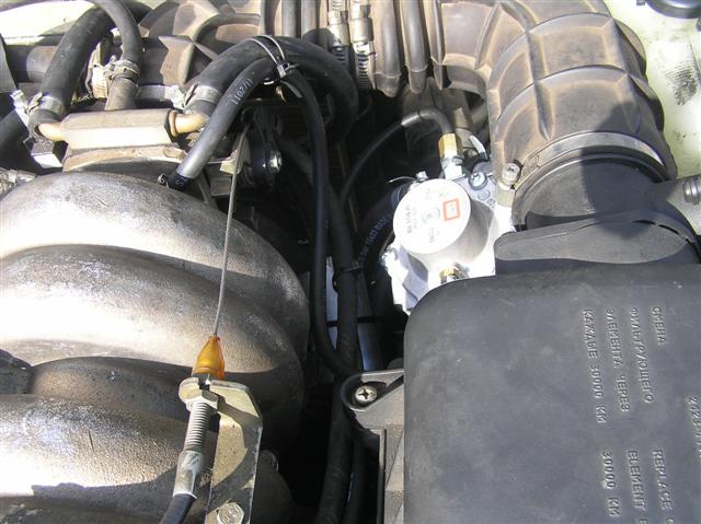 P2040012 (Small).JPG