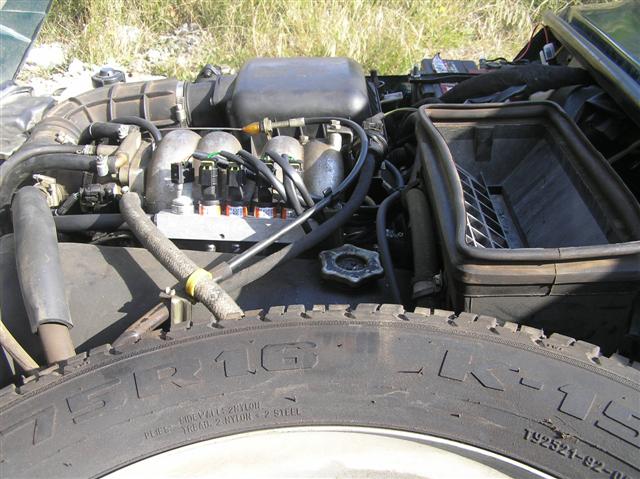 P2040017 (Small).JPG