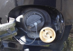 DSC01953 (300x212).jpg