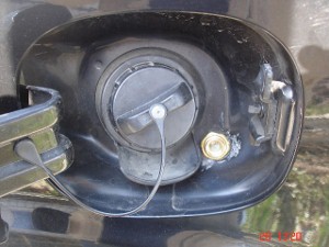 DSC01944 (640x480) (300x225).jpg