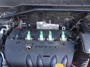 DSC01946 (640x480) (300x225).jpg