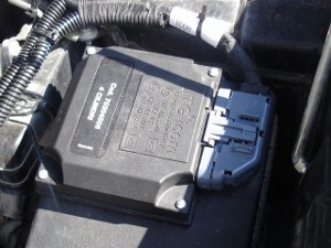 DSC01947 (640x480) (300x225).jpg