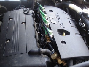 DSC01949 (640x480) (300x225).jpg