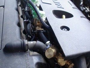 DSC01950 (640x481) (300x225).jpg